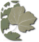 Réjane Streiff sophrologue